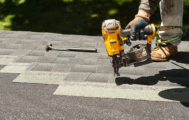 Best Roof Gutter Cleaning  in Newfield, NJ