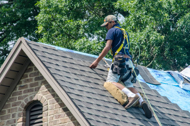 Best Storm Damage Roof Repair  in Newfield, NJ